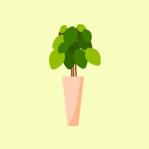 فيكتور اصيص اوراق نبات خضراء potted plant leaves eps, ai vector, design, file للتصميم مفتوح قابل للتعديل على اليستريتور مجانا .